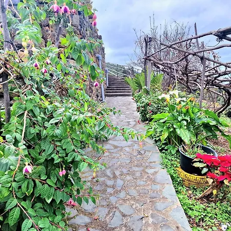 Teide In Icod De Vinos By Hrtenerife Net Feriehus Icod De Los Vinos