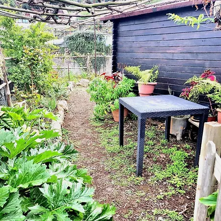 Feriehus Teide In Icod De Vinos